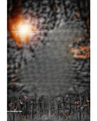 Attitude cb background