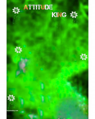 Attitude king hd cb editing background