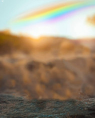 Aurodesk hd cb editing background (2)