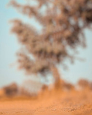 Aurodesk hd cb editing background (3)