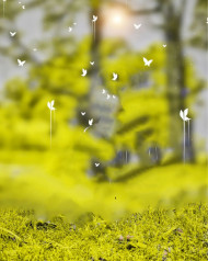 Autodesk cb editing background