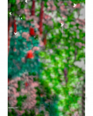 Autodesk cb editing background snapseed