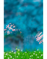 Autodesk hd cb editing background, cb editing background