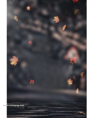 Autumn cb background free