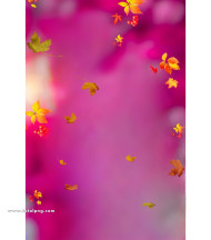 Autumn cb backgrounds free