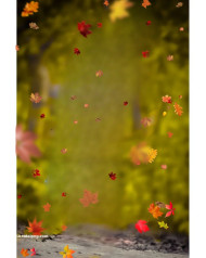 Autumn cb editing background