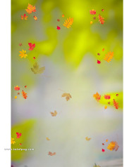 Autumn cb editing background download