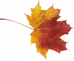 Autumn clipart transparent png,Autumn transparent png images