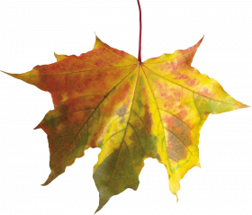 Autumn clipart transparent png,Autumn transparent png images free