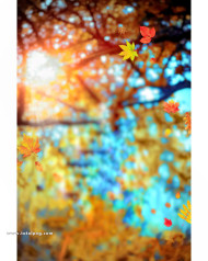 Autumn full hd cb editing background