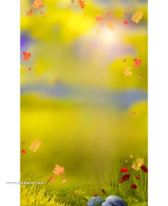 Autumn hd cb backgrounds free