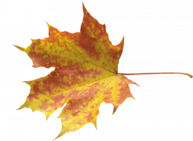 Autumn leaves png images,Autumn transparent png images