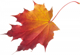 Autumn png imgaes,Autumn leaves png images