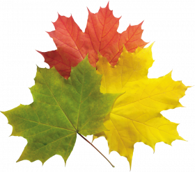 Autumn transpaent png,hd Autumn transparent png images