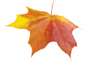 Autumn transparent background,Autumn leaves png images