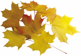 Autumn transparent background,Autumn transparent png images