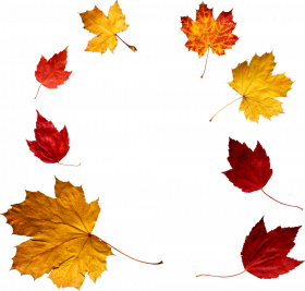 Autumn transparent png hd,Autumn leaves png images