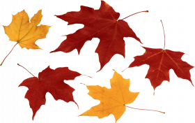 Autumn transparent png images,Autumn transparent png images