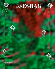 Badshah boy 4k cb editing