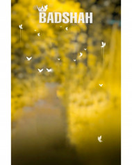 badshah cb editing background free