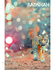 Badshah full hd cb editing background