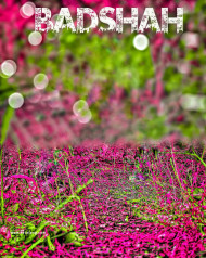 Badshah hd cb backgrounds by totalpng