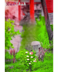 Badshah photoshop cbbackground