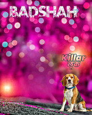 Badshah snapseed cb editing background