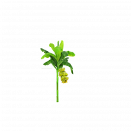 Banana plant png transparent images