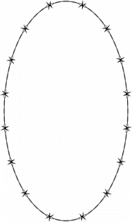 Barbed Wire Ellipse Frame Border Transparent Png,Barbed wire png images