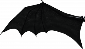 Bat wing png
