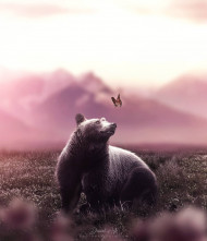 Bear photoshop editing background