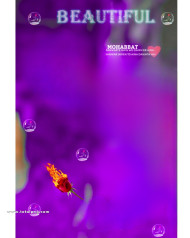 Beautiful cb background download