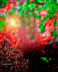 Best Cb background 2023