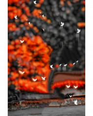 Best cb editing backgrounds for editing