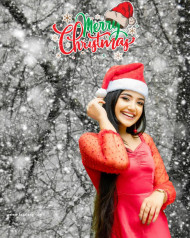 Best Free Online Christmas Photo Background in 2023