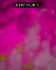 Best friend hd cb editing background