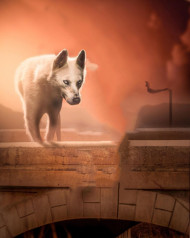 Best Manipulation Editing Background 2022 Full Hd Download Free