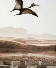 Best New Cb Manipulation Background For Picsart and Photoshop Editing