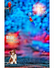 Bhai 13 Hero New CB Background