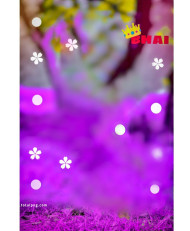 Bhai CB Background HD 2023 For Photo Editing