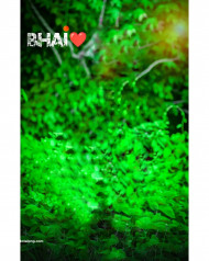 Bhai cb editing background