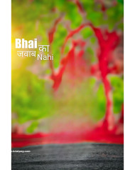 Bhai Ka Jawab Nhi Cb background Download