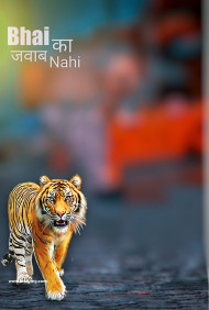 Bhai Tera Jawab Nhi Cb tiger Editing background