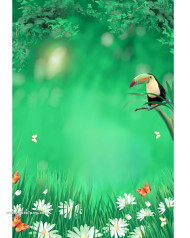 Bird cb editing background