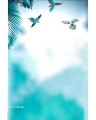 Birds cb background free download