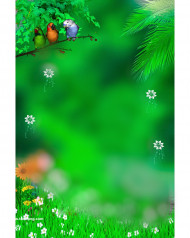 Birds cb editing background picsart hd