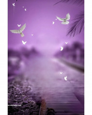 Birds lover cb background for editing