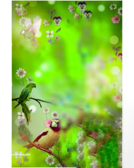 Birds lover cb edits background full hd download