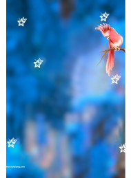 birds snapseed cb editing background